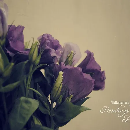 Residenza Ducale 4* Бовино