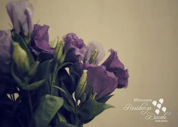 Residenza Ducale 4* Bovino